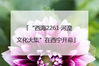 “西海2261·河湟文化大集”在西宁开幕
