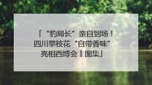 “豹局长”亲自到场！四川攀枝花“自带香味”亮相西博会丨图集