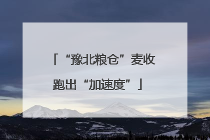 “豫北粮仓”麦收跑出“加速度”