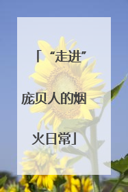 “走进”庞贝人的烟火日常