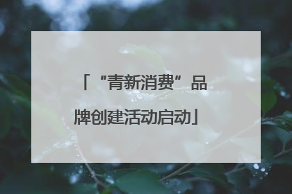 “青新消费”品牌创建活动启动