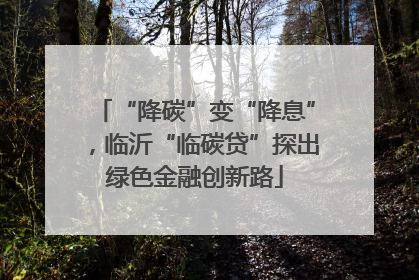 “降碳”变“降息”，临沂“临碳贷”探出绿色金融创新路