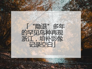 “隐退”多年的罕见鸟种再现浙江，填补影像记录空白