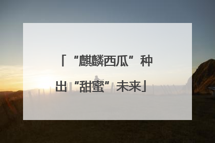 “麒麟西瓜”种出“甜蜜”未来