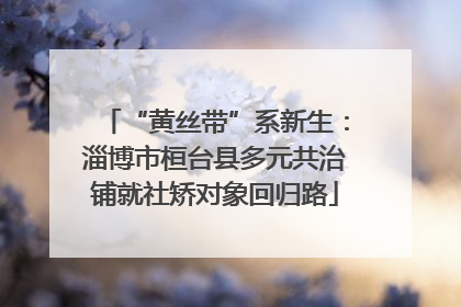“黄丝带”系新生：淄博市桓台县多元共治铺就社矫对象回归路
