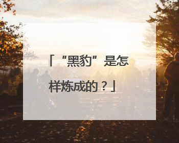 “黑豹”是怎样炼成的？