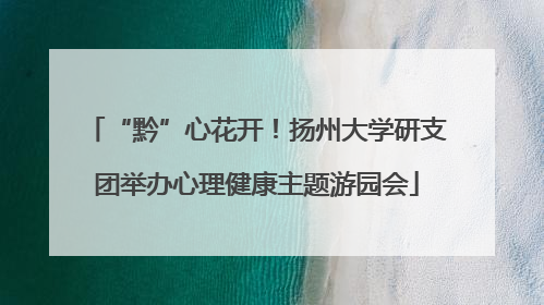 “黔”心花开！扬州大学研支团举办心理健康主题游园会
