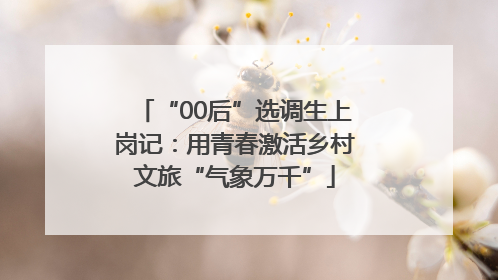“00后”选调生上岗记：用青春激活乡村文旅“气象万千”