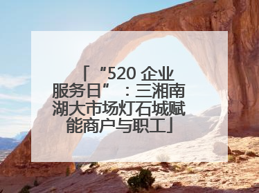 “520 企业服务日”：三湘南湖大市场灯石城赋能商户与职工