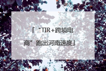 “TIR+跨境电商”跑出河南速度