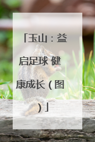 玉山：益启足球 健康成长（图）
