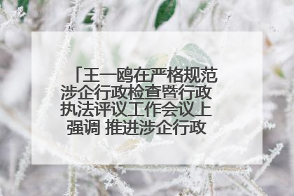 王一鸥在严格规范涉企行政检查暨行政执法评议工作会议上强调 推进涉企行政检查质效大幅提升