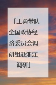 王勇带队全国政协经济委员会调研组赴浙江调研