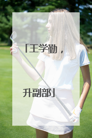 王学勤，升副部