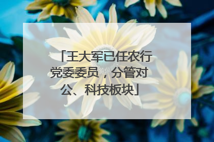 王大军已任农行党委委员，分管对公、科技板块
