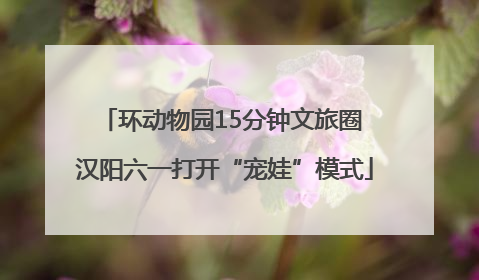 环动物园15分钟文旅圈 汉阳六一打开“宠娃”模式