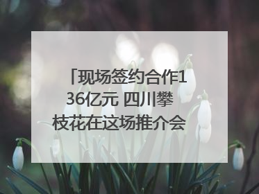 现场签约合作136亿元 四川攀枝花在这场推介会上画“图谱”列“清单”