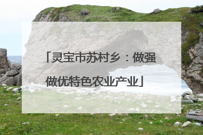 灵宝市苏村乡：做强做优特色农业产业