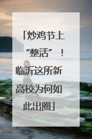 炒鸡节上“整活”！临沂这所新高校为何如此出圈