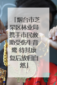 烟台市芝罘区林业局携手市民救助受伤牛背鹭 待其康复后放归自然