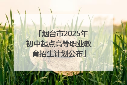 烟台市2025年初中起点高等职业教育招生计划公布