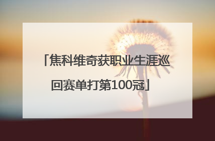 焦科维奇获职业生涯巡回赛单打第100冠