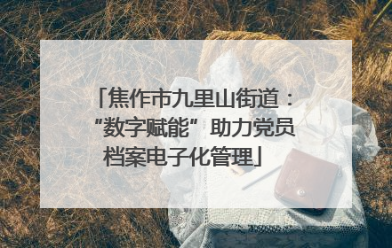 焦作市九里山街道：“数字赋能”助力党员档案电子化管理