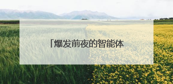 爆发前夜的智能体，落在中国算力的舒适区｜海斌访谈