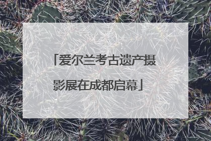 爱尔兰考古遗产摄影展在成都启幕