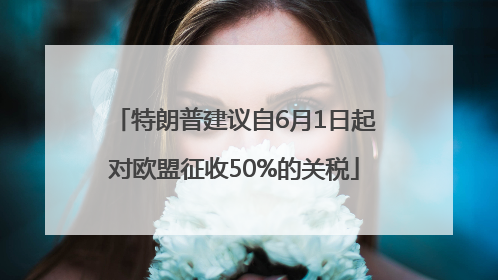 特朗普建议自6月1日起对欧盟征收50%的关税