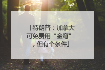 特朗普：加拿大可免费用“金穹”，但有个条件