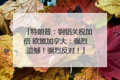 特朗普：钢铝关税加倍 欧盟加拿大：强烈遗憾！强烈反对！