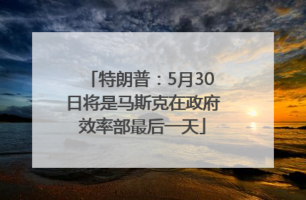 特朗普：5月30日将是马斯克在政府效率部最后一天