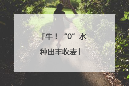 牛！“0”水种出丰收麦