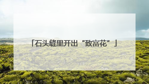石头缝里开出“致富花”