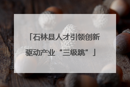 石林县人才引领创新驱动产业“三级跳”