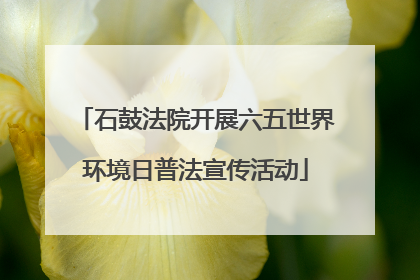 石鼓法院开展六五世界环境日普法宣传活动