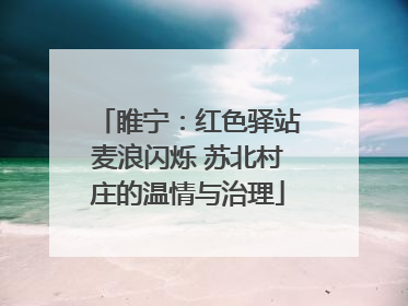 睢宁：红色驿站麦浪闪烁 苏北村庄的温情与治理