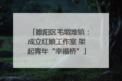 睢阳区毛堌堆镇：成立红娘工作室 架起青年“幸福桥”