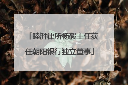 睦湃律所杨毅主任获任朝阳银行独立董事