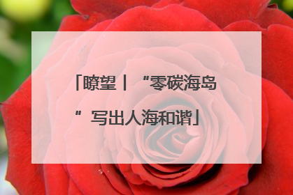 瞭望丨“零碳海岛”写出人海和谐
