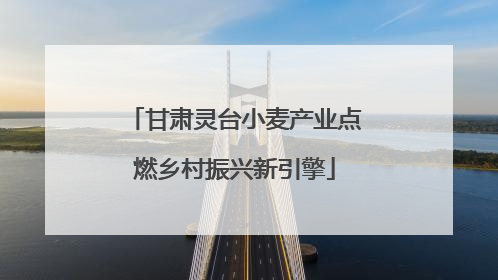 甘肃灵台小麦产业点燃乡村振兴新引擎