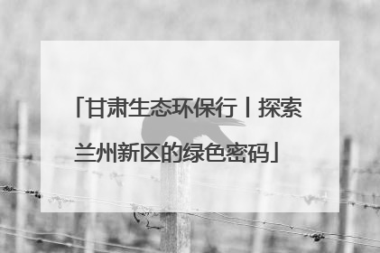 甘肃生态环保行丨探索兰州新区的绿色密码