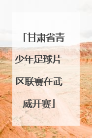 甘肃省青少年足球片区联赛在武威开赛
