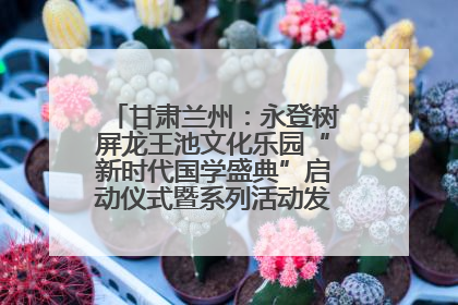 甘肃兰州：永登树屏龙王池文化乐园“新时代国学盛典”启动仪式暨系列活动发布会成功举办