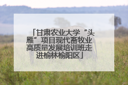 甘肃农业大学“头雁”项目现代畜牧业高质量发展培训班走进榆林榆阳区