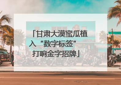 甘肃大漠蜜瓜植入“数字标签” 打响金字招牌