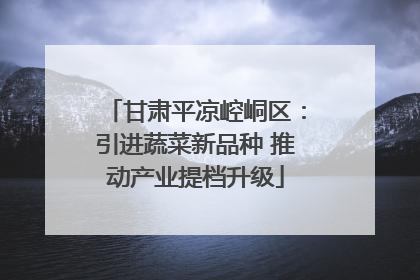 甘肃平凉崆峒区：引进蔬菜新品种 推动产业提档升级