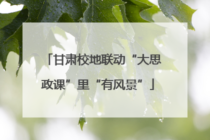 甘肃校地联动“大思政课”里“有风景”