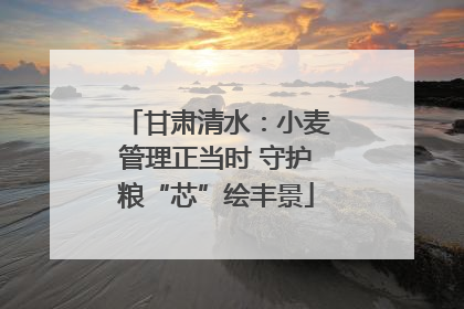 甘肃清水：小麦管理正当时 守护粮“芯”绘丰景